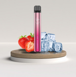 ELFBAR 600 V2 Disposable Pod Einweg Vape
